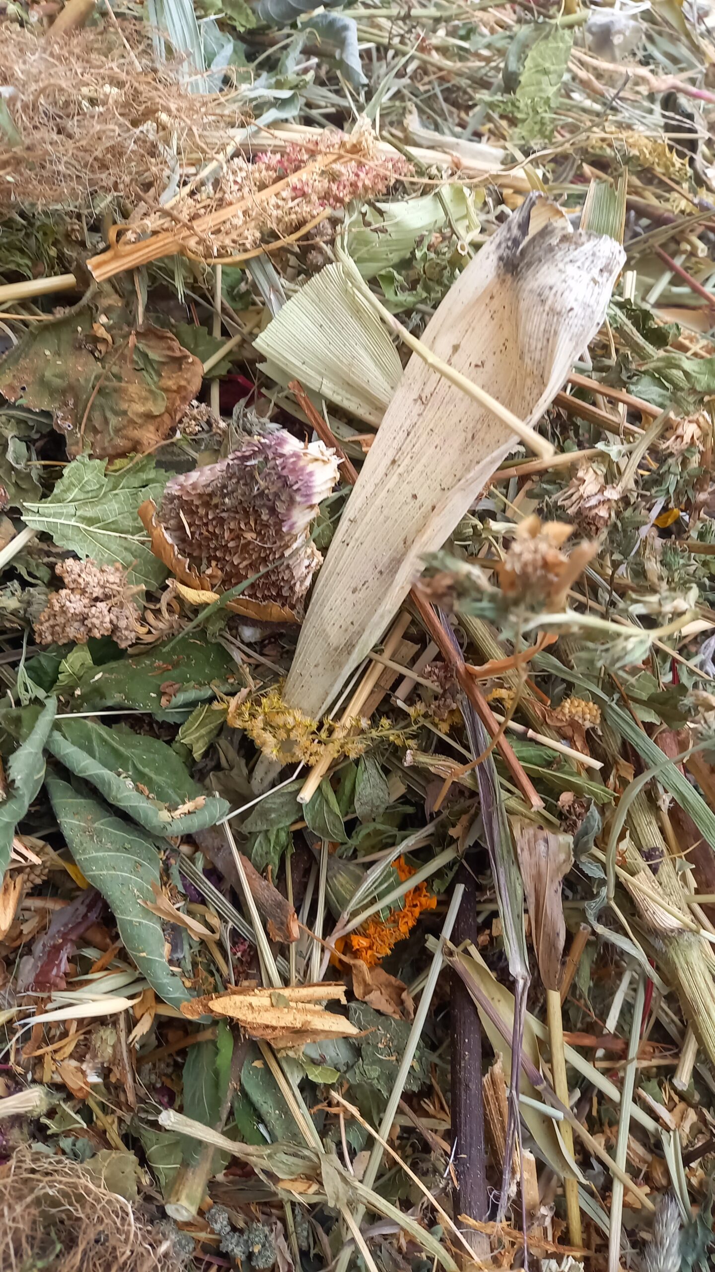 Rumpelstielchen gegen Langeweile 🇨🇭 – Bild 2