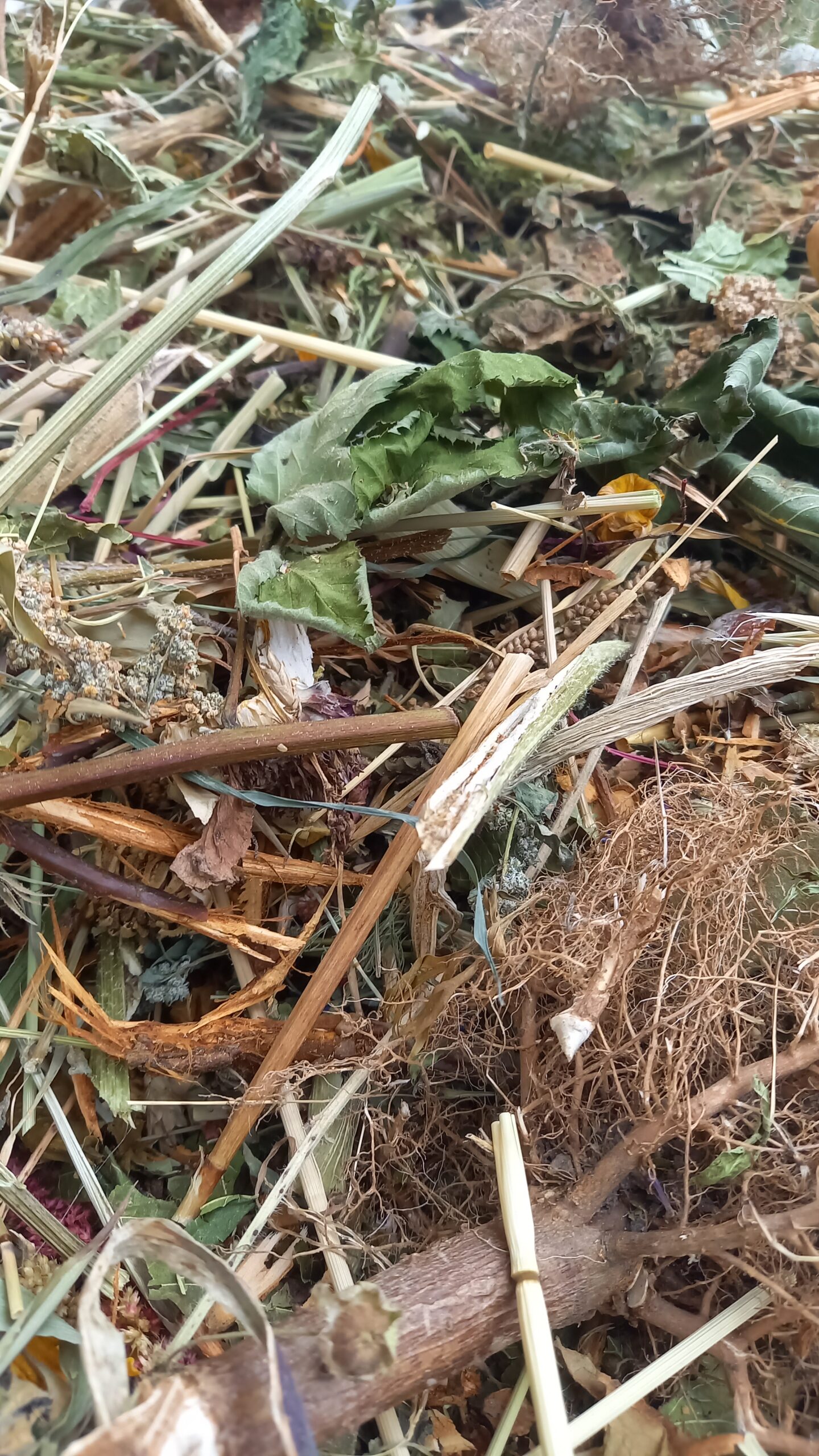 Rumpelstielchen gegen Langeweile 🇨🇭 – Bild 7