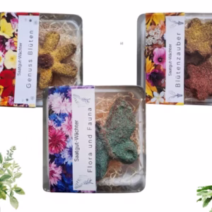 Innovativer Saatgut-Wächter: Ein Mini-Treibhaus für die einfache Anzucht von Schmetterlingsblumen und Kräutern.