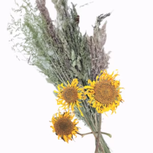 Feldbüschel - Knabbersträusse für Nager 🇨🇭