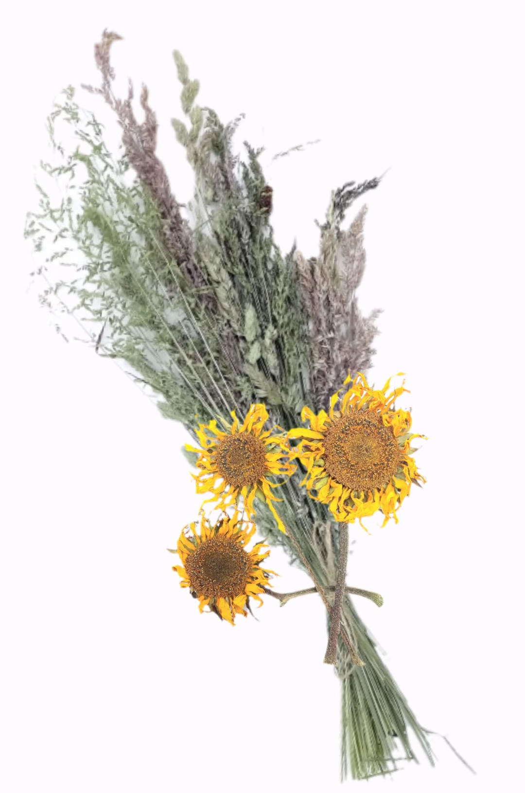 Feldbüschel - Knabbersträusse für Nager 🇨🇭